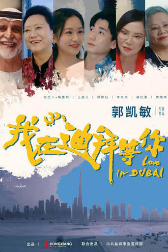 我在迪拜等你海報