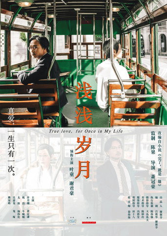 淺淺歲月海報