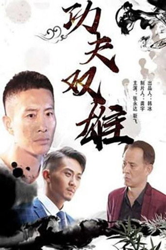 功夫雙雄海報