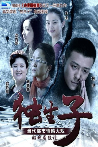 獨生子海報