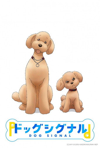 愛犬訊號海報