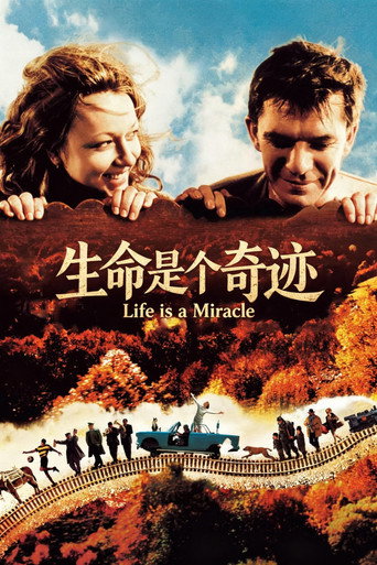 生命是個奇蹟海報