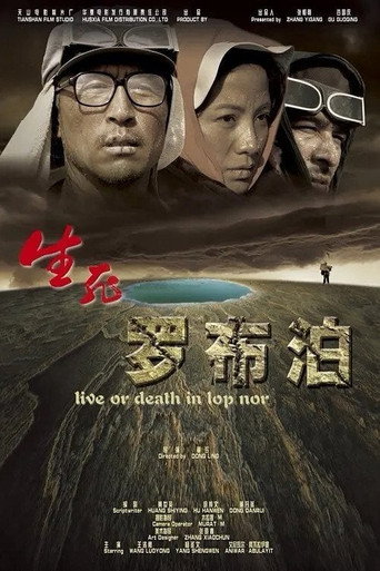 生死羅布泊海報