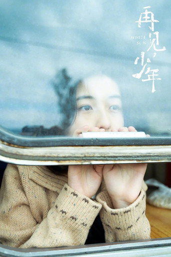 再見,少年海報
