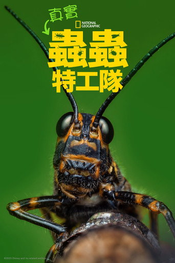 真實蟲蟲危機海報