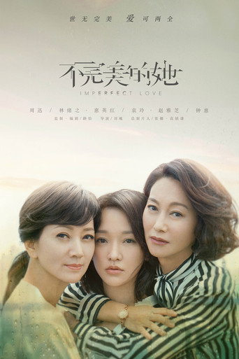 不完美的她海報