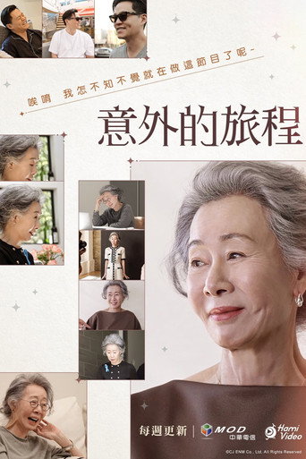 意外的旅程海報