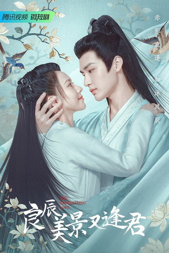 良辰美景又逢君海報