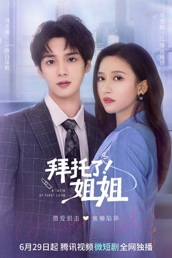 拜託了!姐姐 第 1 季海報