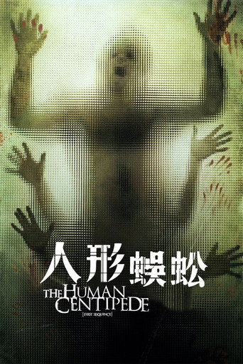 人形蜈蚣海報