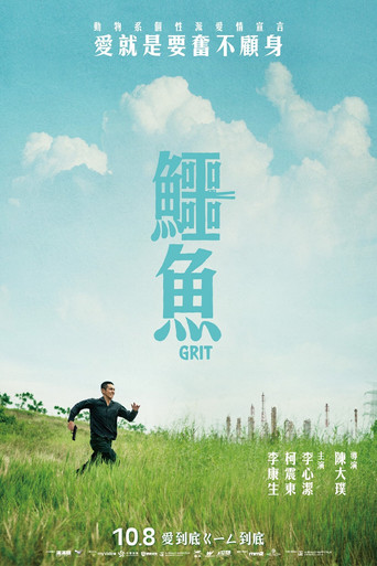 鱷魚海報