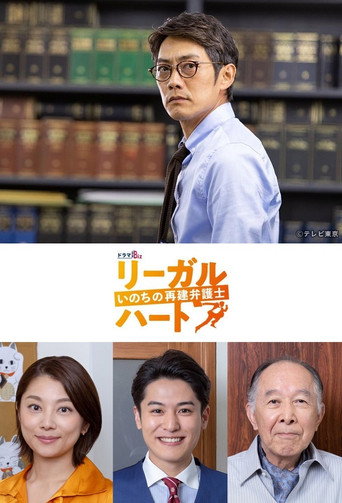 法律之心:重建生命的律師海報