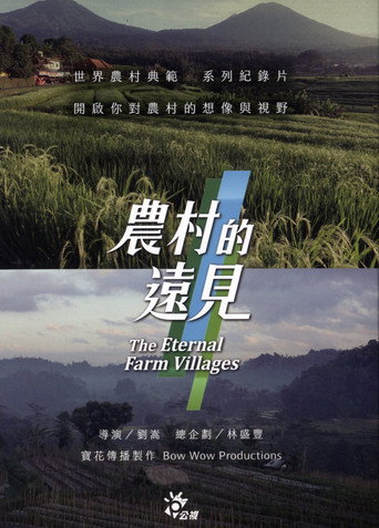農村的遠見海報
