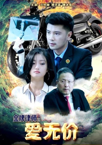 金牌律師之愛無價海報