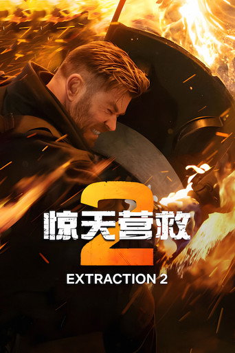 驚天營救 2海報