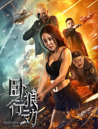 臥狼行動海報