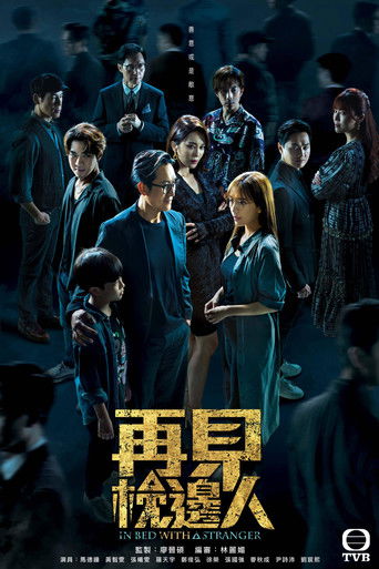 再見枕邊人海報
