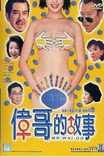 偉哥的故事海報