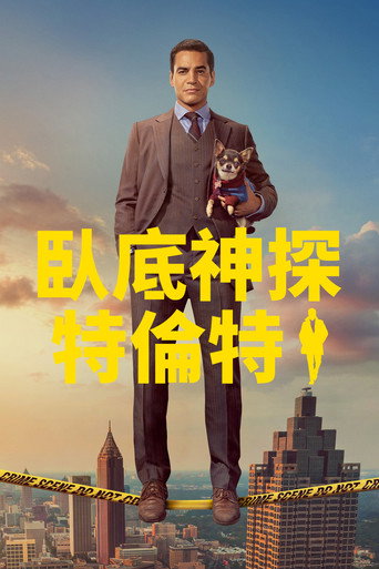 臥底神探特倫特 第 3 季海報