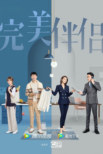 完美伴侶海報