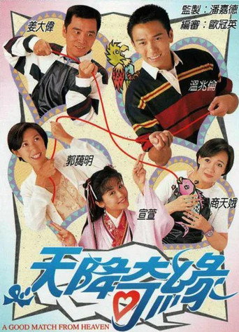 天降奇緣海報