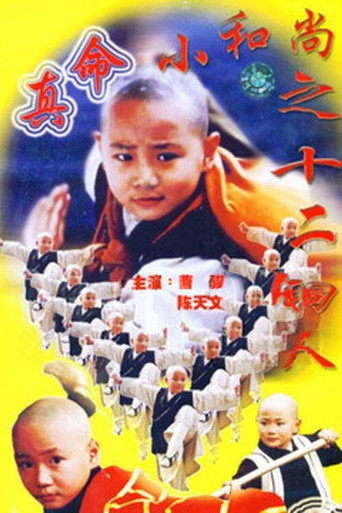 真命小和尚 真命小和尚之十二銅人海報