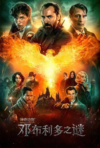 怪獸與鄧不利多的秘密海報