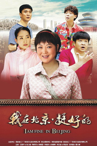 我在北京·挺好的海報