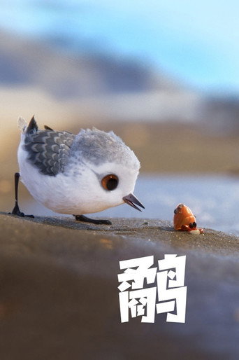 小鷸初登場海報