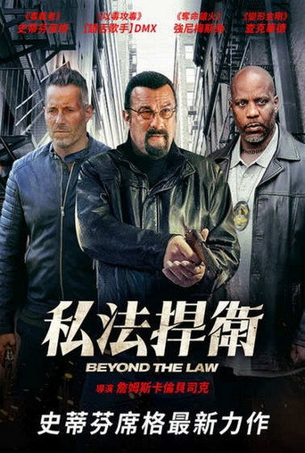 私法捍衛海報