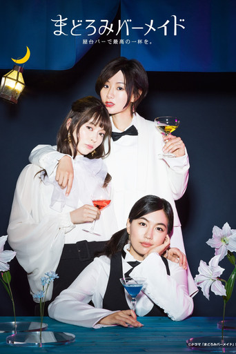 深夜的吧檯公主海報