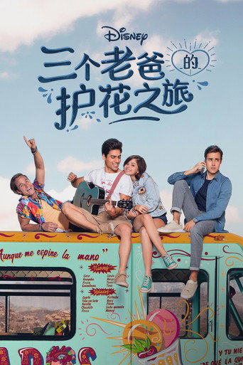老爸的護花之旅海報