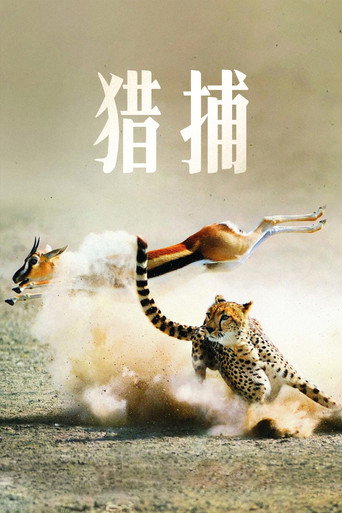 掠食獵戰海報