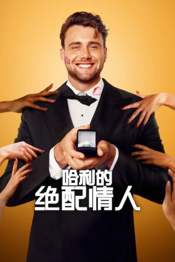 哈利的絕配情人海報