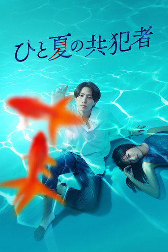 那年夏天的共犯者海報