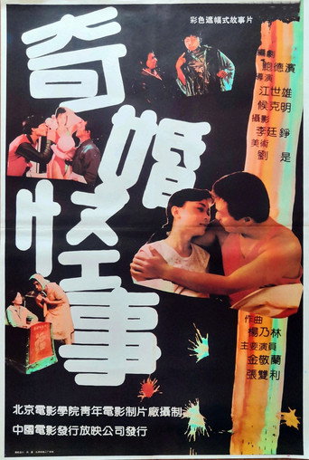 奇婚怪事海報