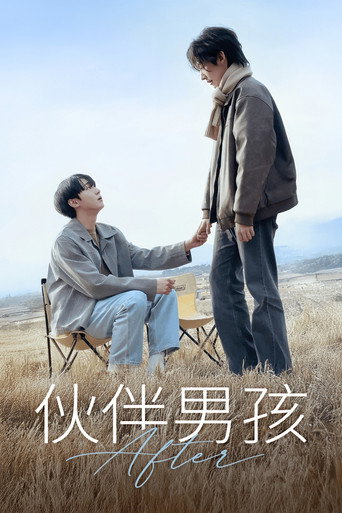 夥伴男孩海報