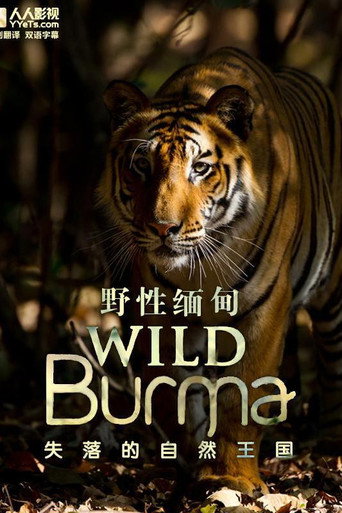 野性緬甸:失落的自然王國海報