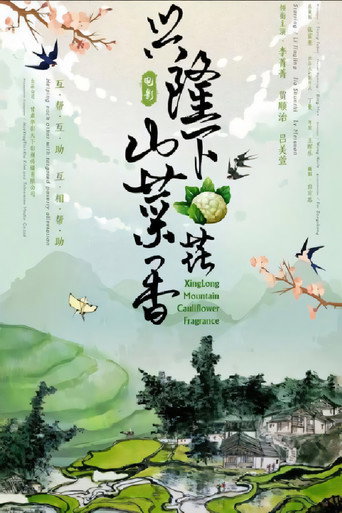 興隆山下菜花香海報