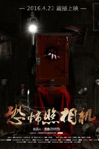 恐怖照相機海報