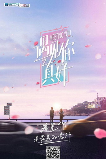 遇見你真好海報
