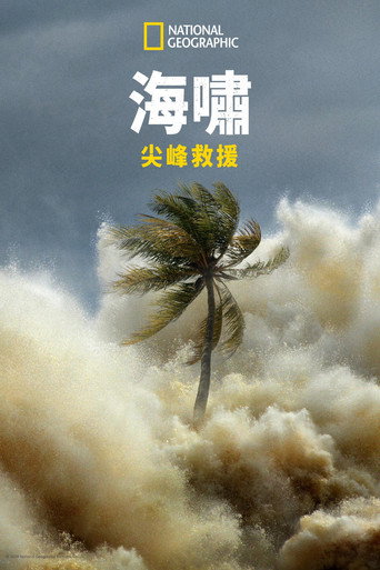海嘯：尖峰救援海報