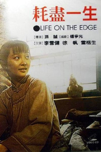 耗盡一生海報