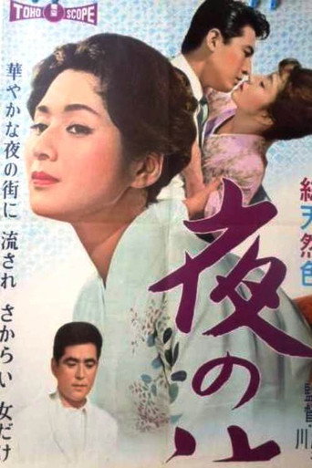 漂流的夜海報