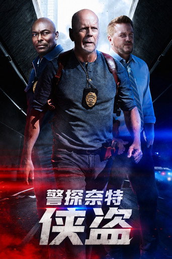 俠探特攻:全面追緝海報