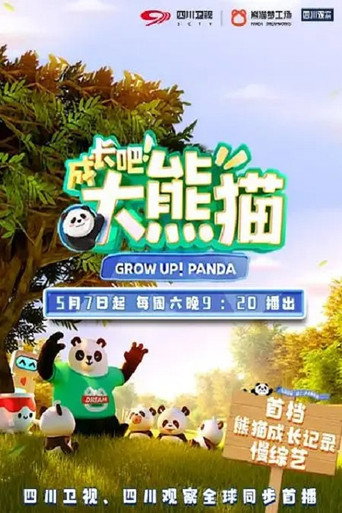 成長吧!大熊貓海報
