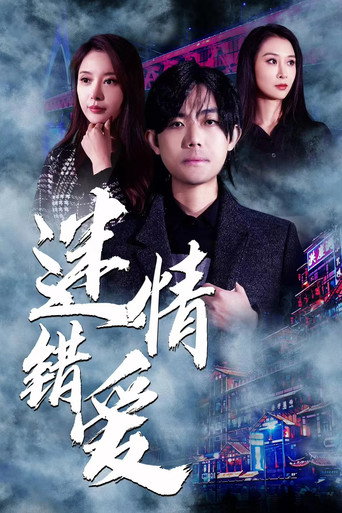 迷情錯愛海報