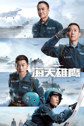 海天雄鷹海報
