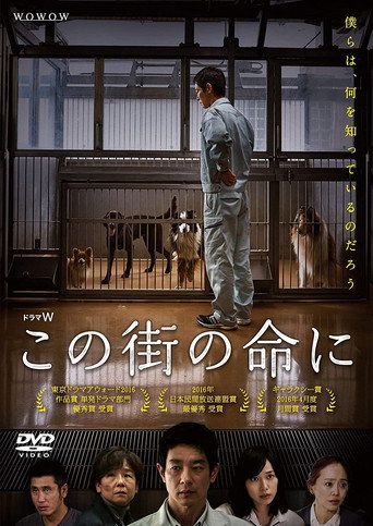 為了這條街的生命海報