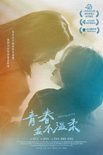 青春並不溫柔海報